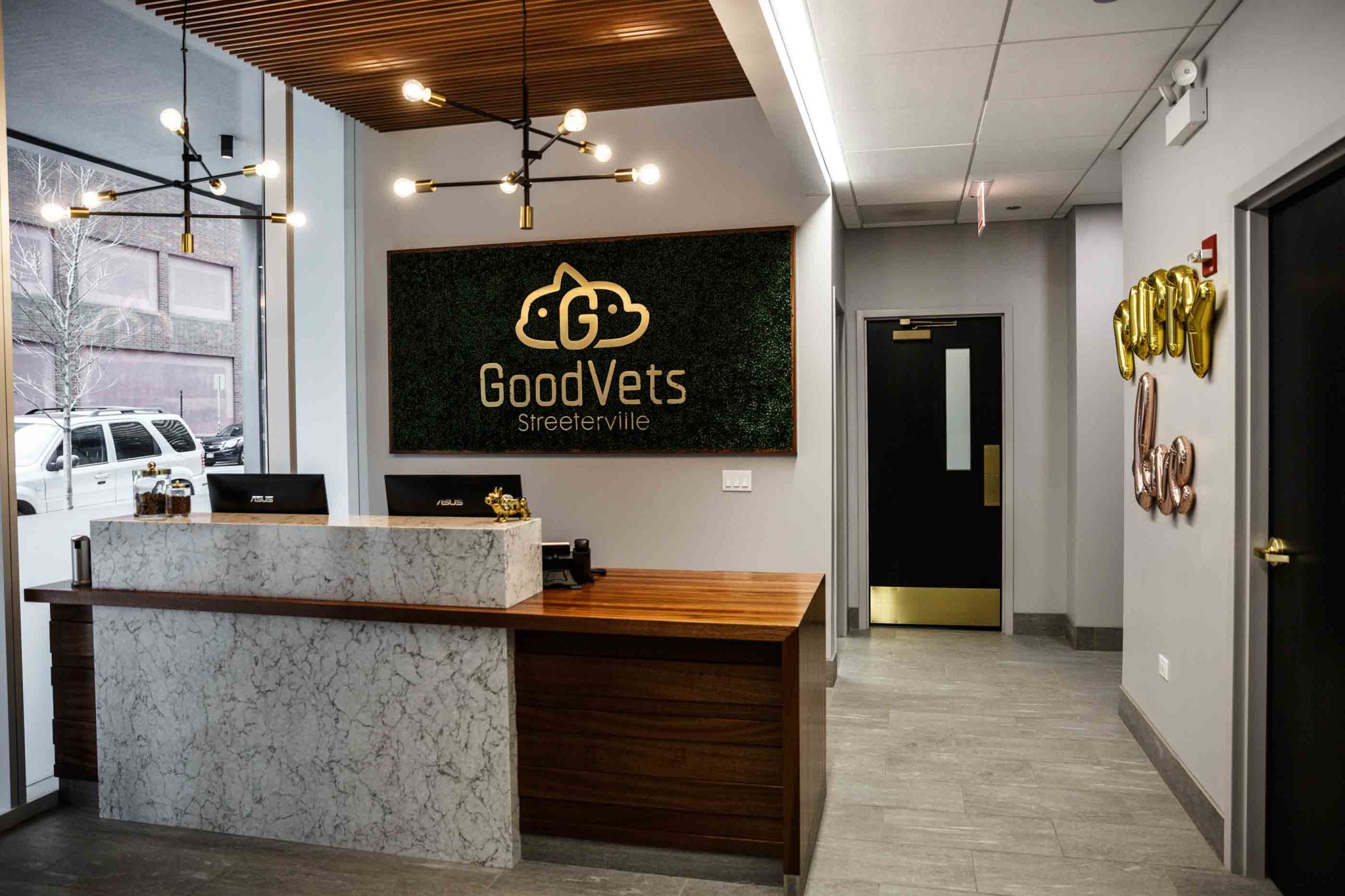 GoodVets Streeterville