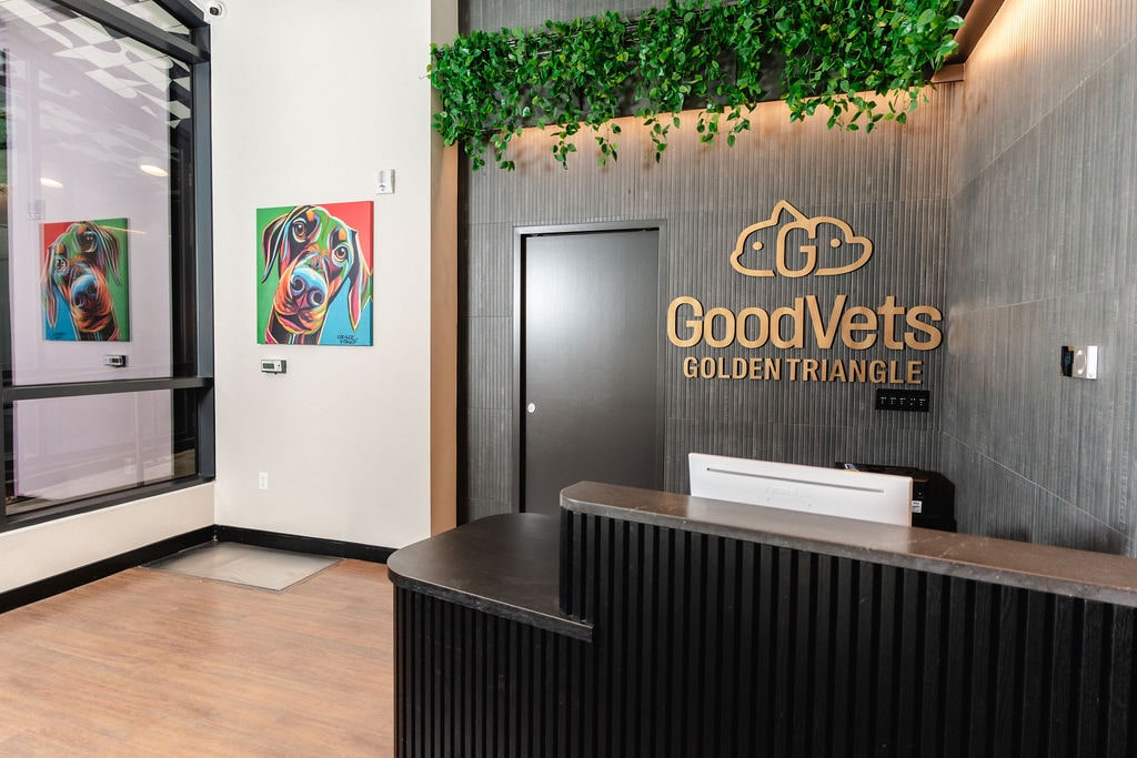 GoodVets Golden Triangle - Denver