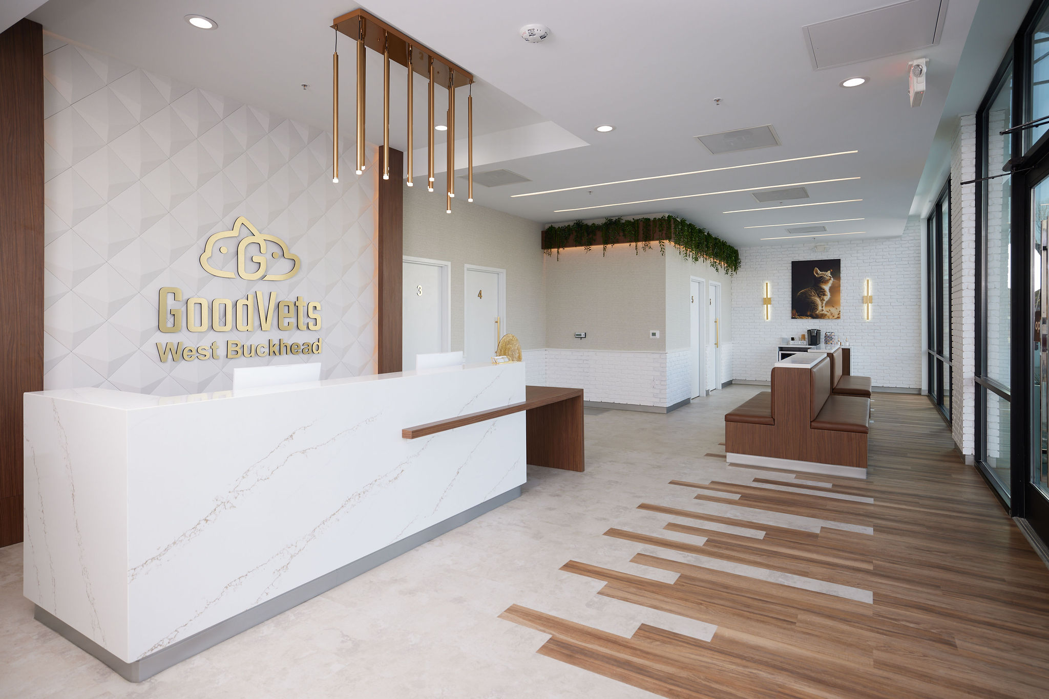 An animal hospital interior