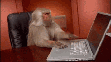 monkey computer