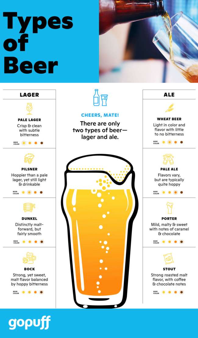 Types of beer infographic describing the differences between lagers & ales