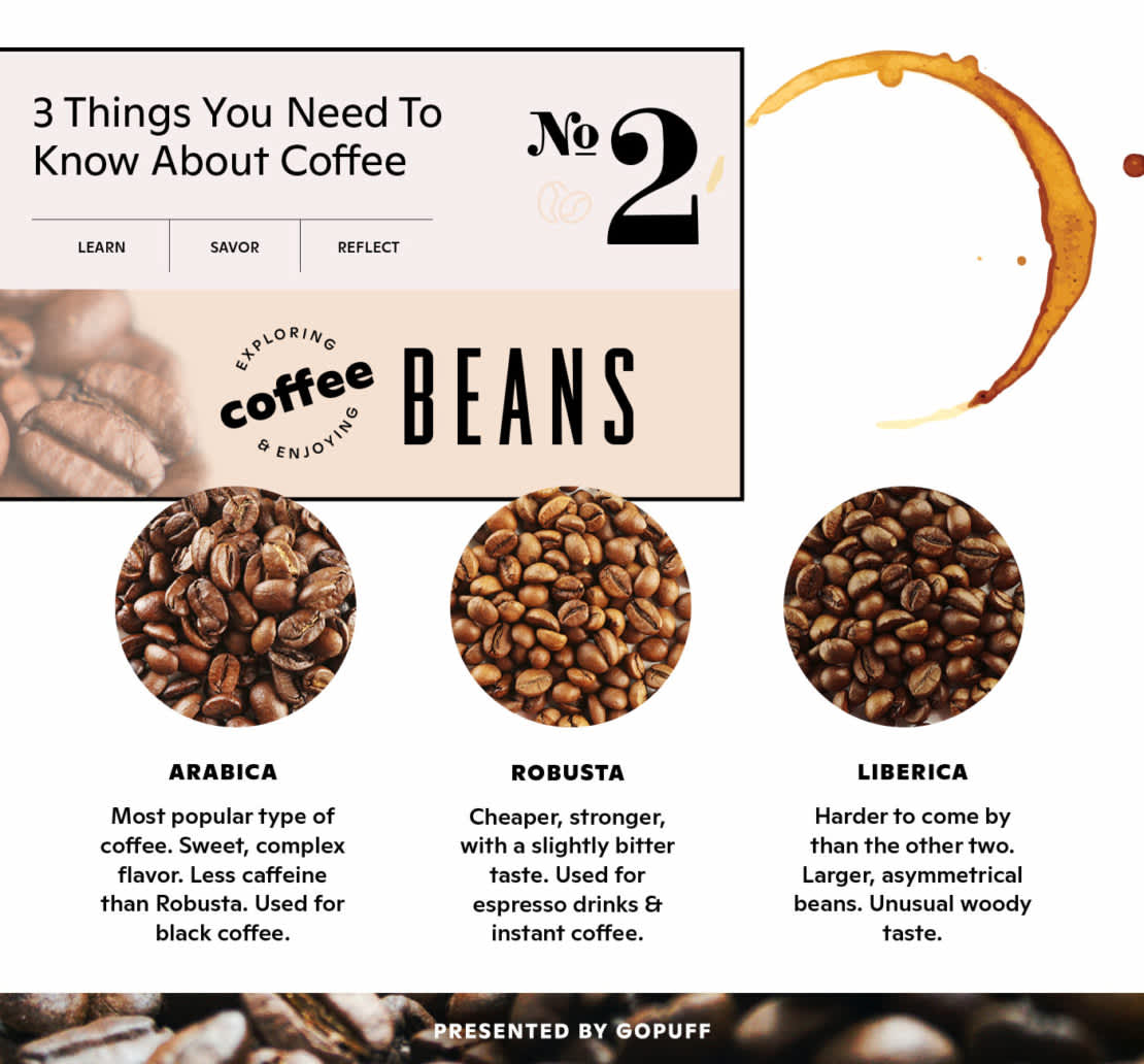 Types of coffee beans infographic