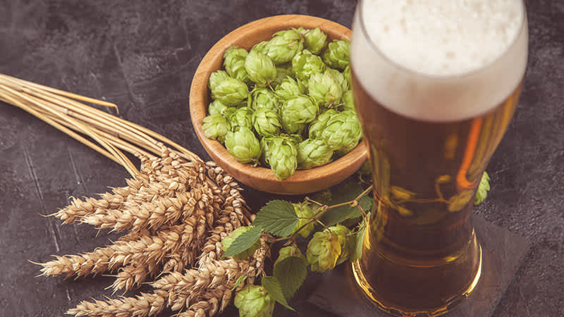 An IPA beer next to a bowl of hops and barley