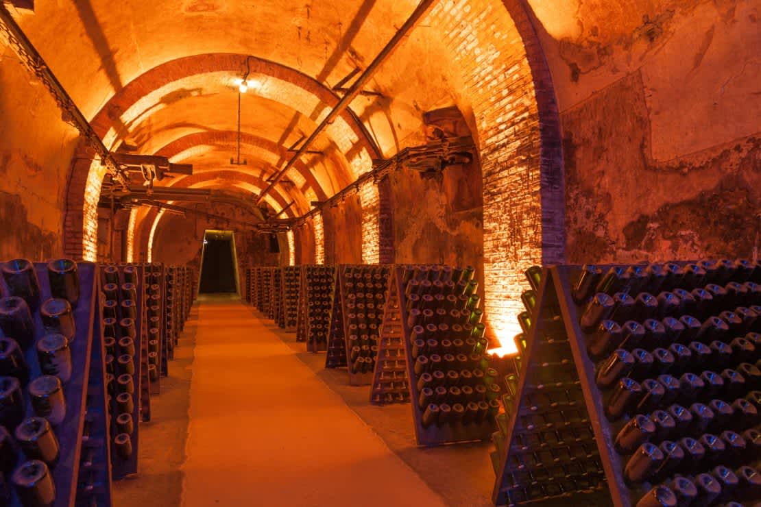 Rows of dusty champagne bottles