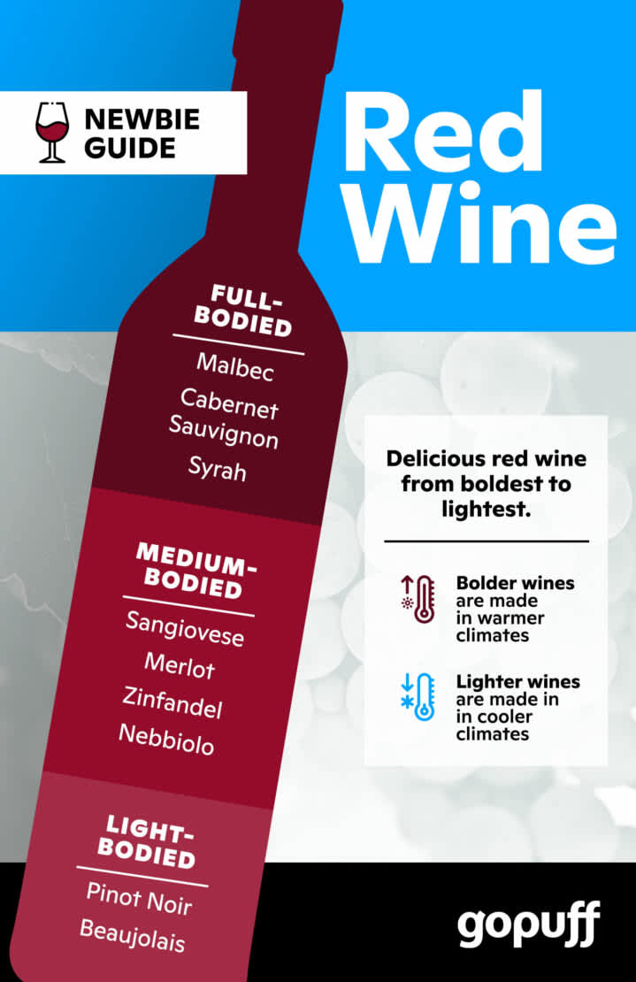 Red Wine basics infographic