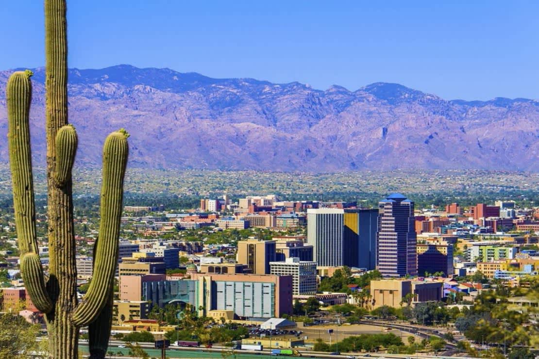 Tucson city skyline with cactus in foreground