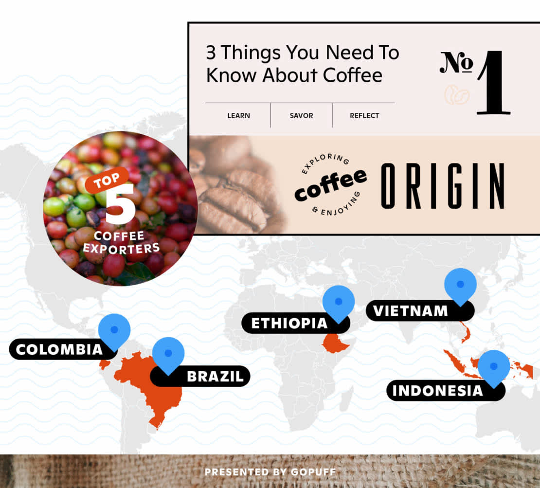 Coffee infographic