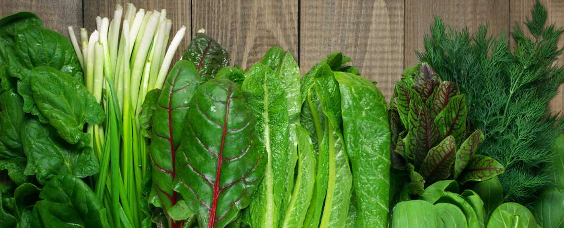 A variety of leafy greens