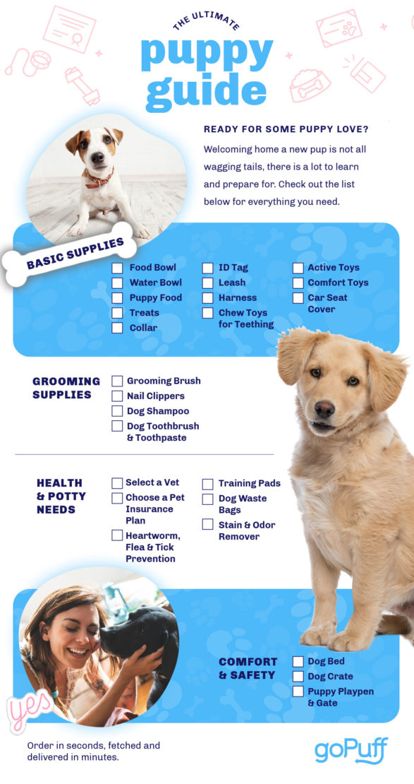 The Ultimate Puppy Proofing Guide and Checklist - Fox Creek