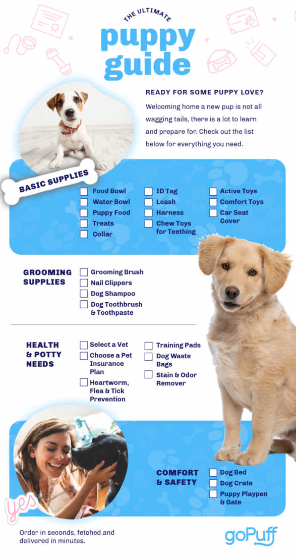 New puppy infographic with list of everything a new dog parent needs to know and to get.
