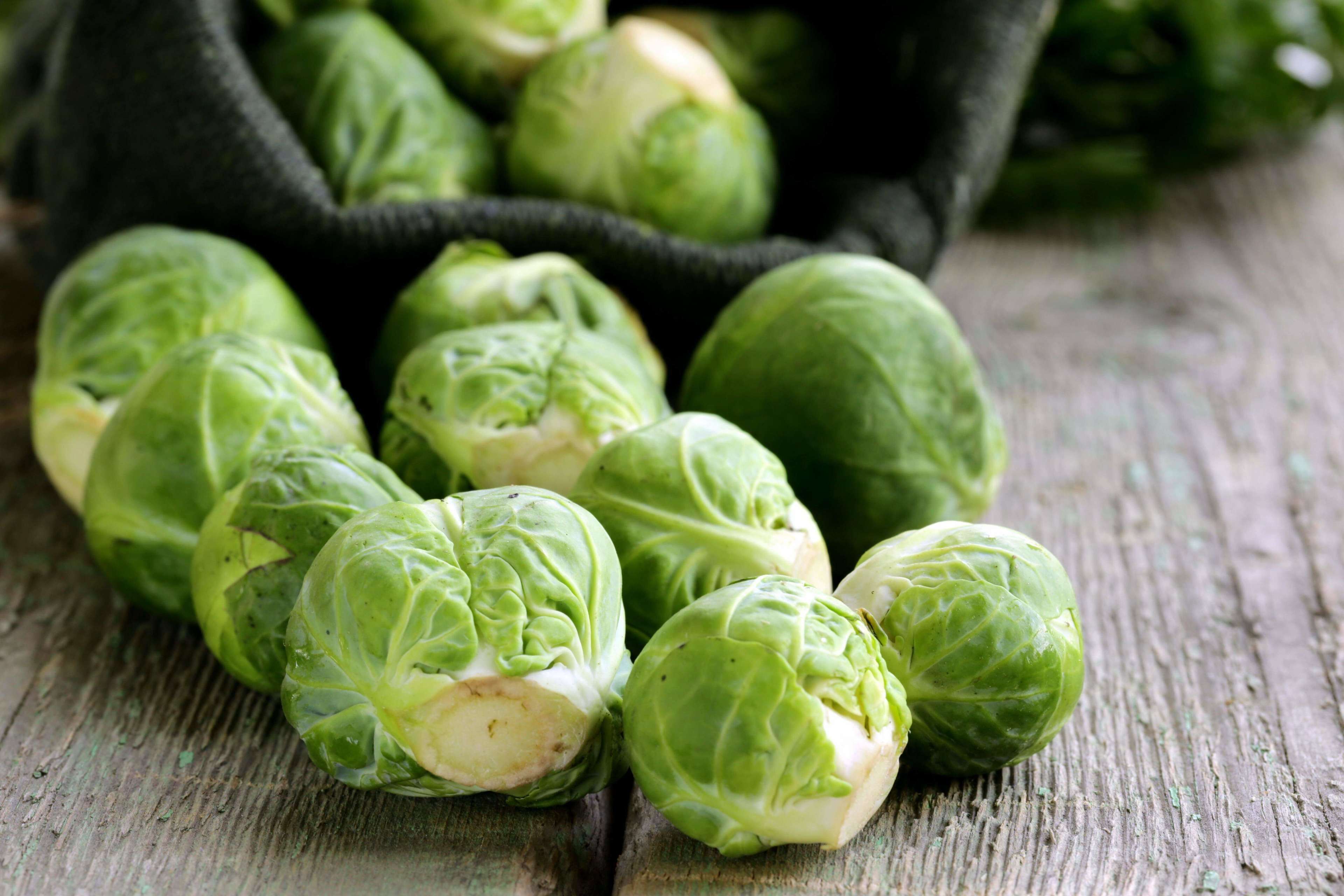 Green brussel sprouts