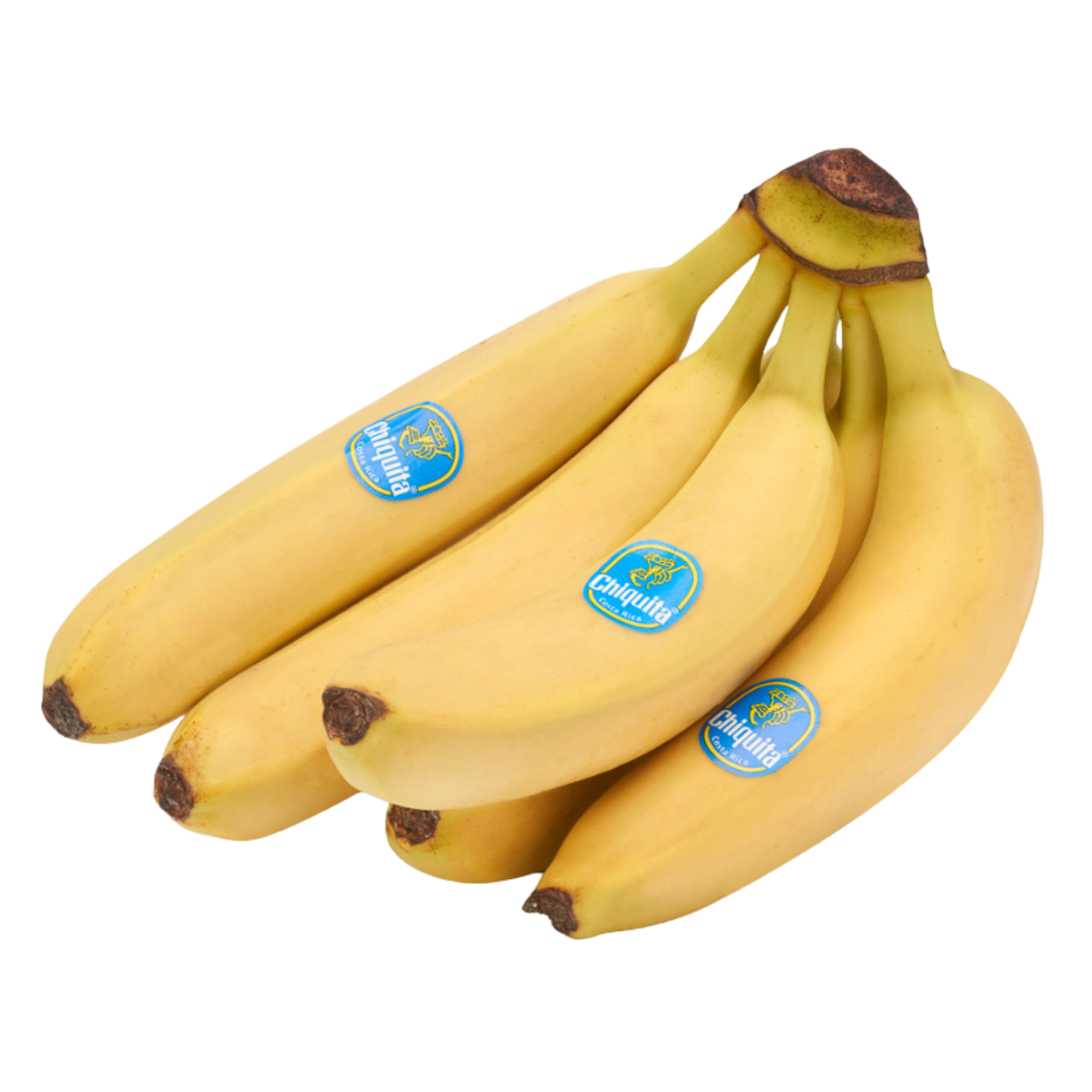 Bunch of Chiquita Bananas