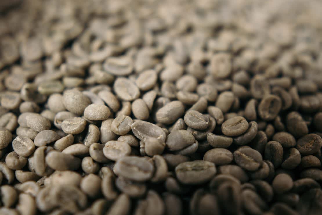 Green coffee beans