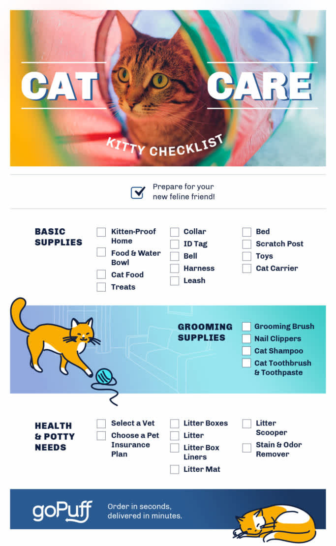 Cat care infographic with list of everything a new cat parent needs to know and to get.