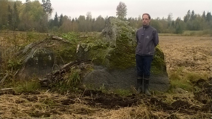 Kuva 36. Tämän pellon ojitus on tapahtunut 20 vuotta ennen kuvan ottamista. Pellon vajuma johtuu enimmäkseen veden poistumisesta, mutta arviolta noin 20 cm turvettakin on hävinnyt. Kuva: Kristiina Regina.