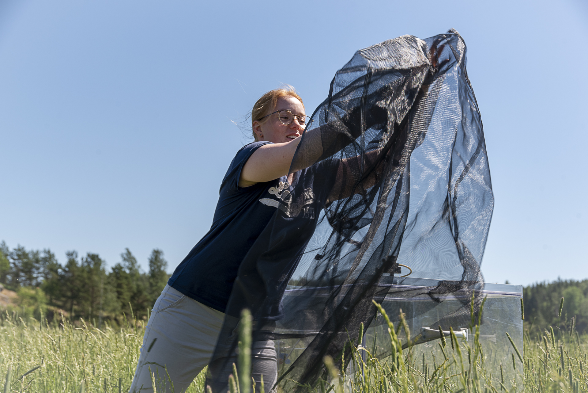 Kuva 14. Ilmatieteen laitoksen väitöskirjatutkija, viljelijä Laura Heimsch peittää kammiomittauslaitetta Qvidjassa. Kuva Marjo Aspegren.