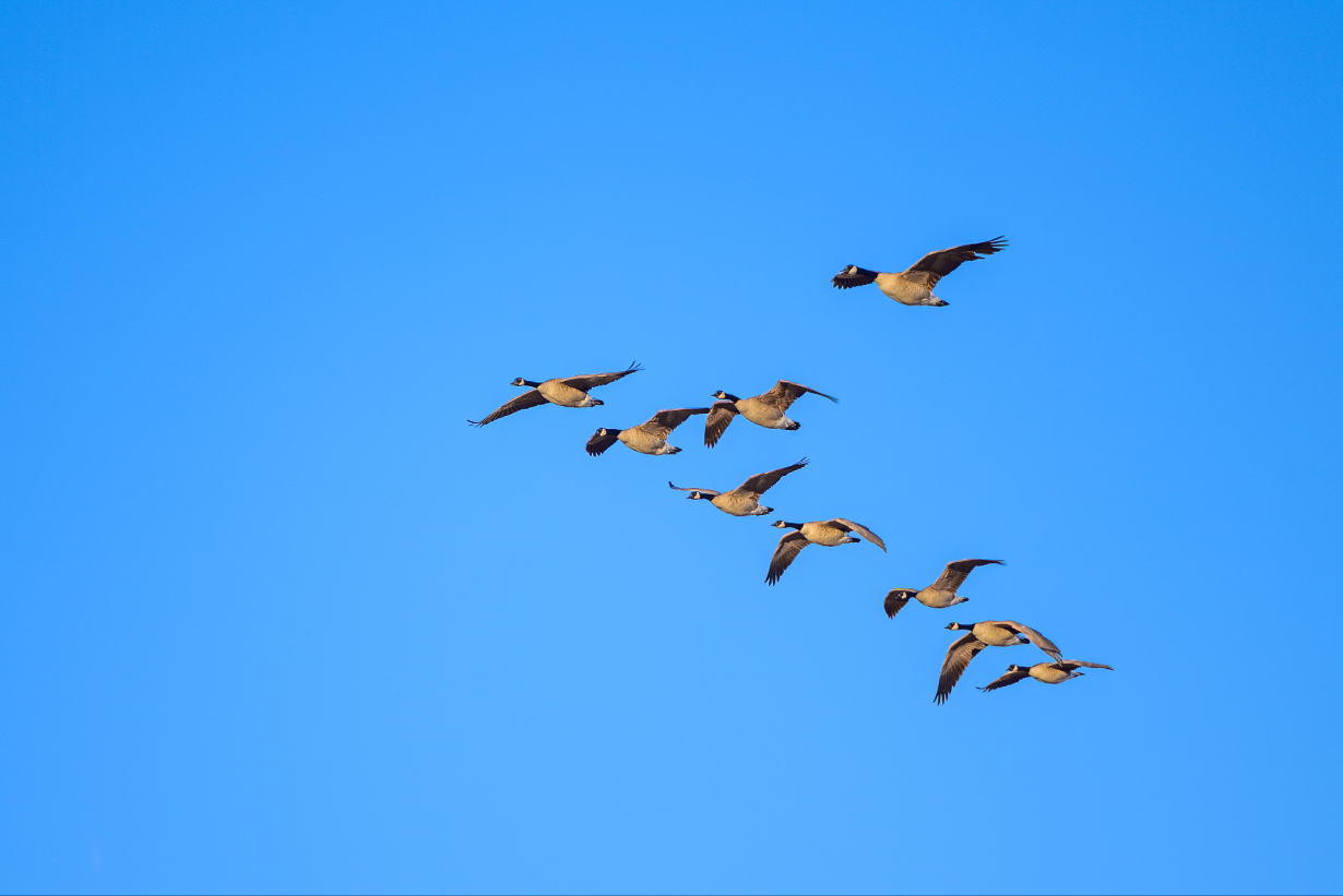 The Sitecore to Storyblok Migration Playbook