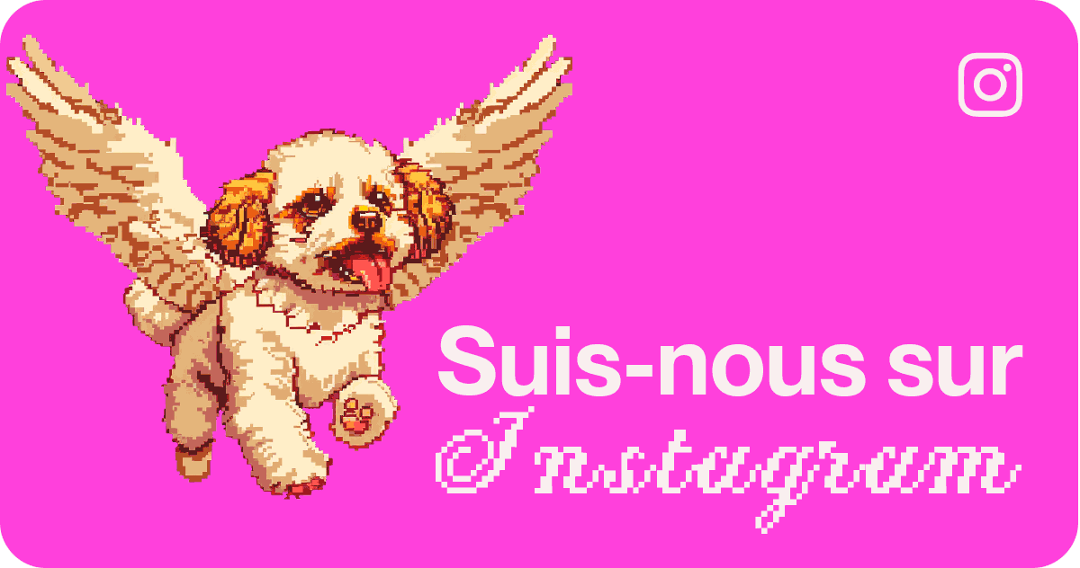 Suis nous sur Instagram, un chien avec des ailes, le logo d'Instagram