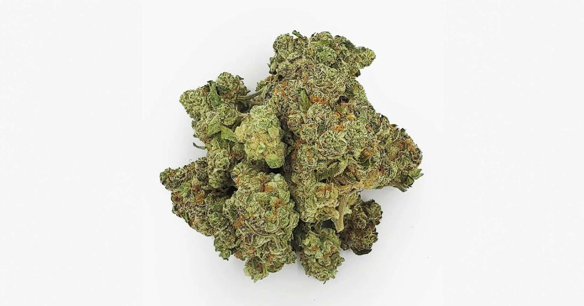 Photo d'une fleur séchée de cannabis.