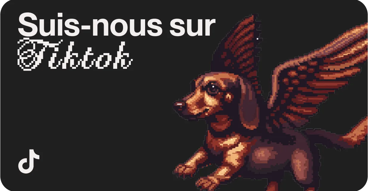 Suis nous sur TikTok