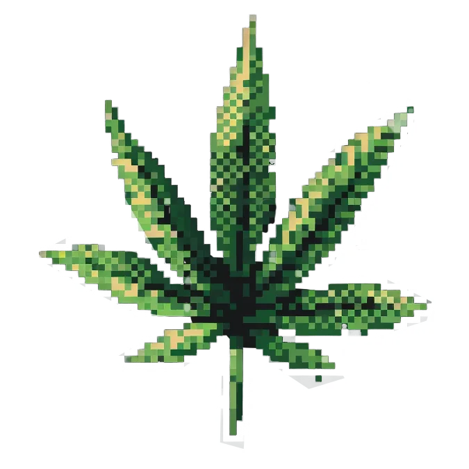 Feuille de cannabis