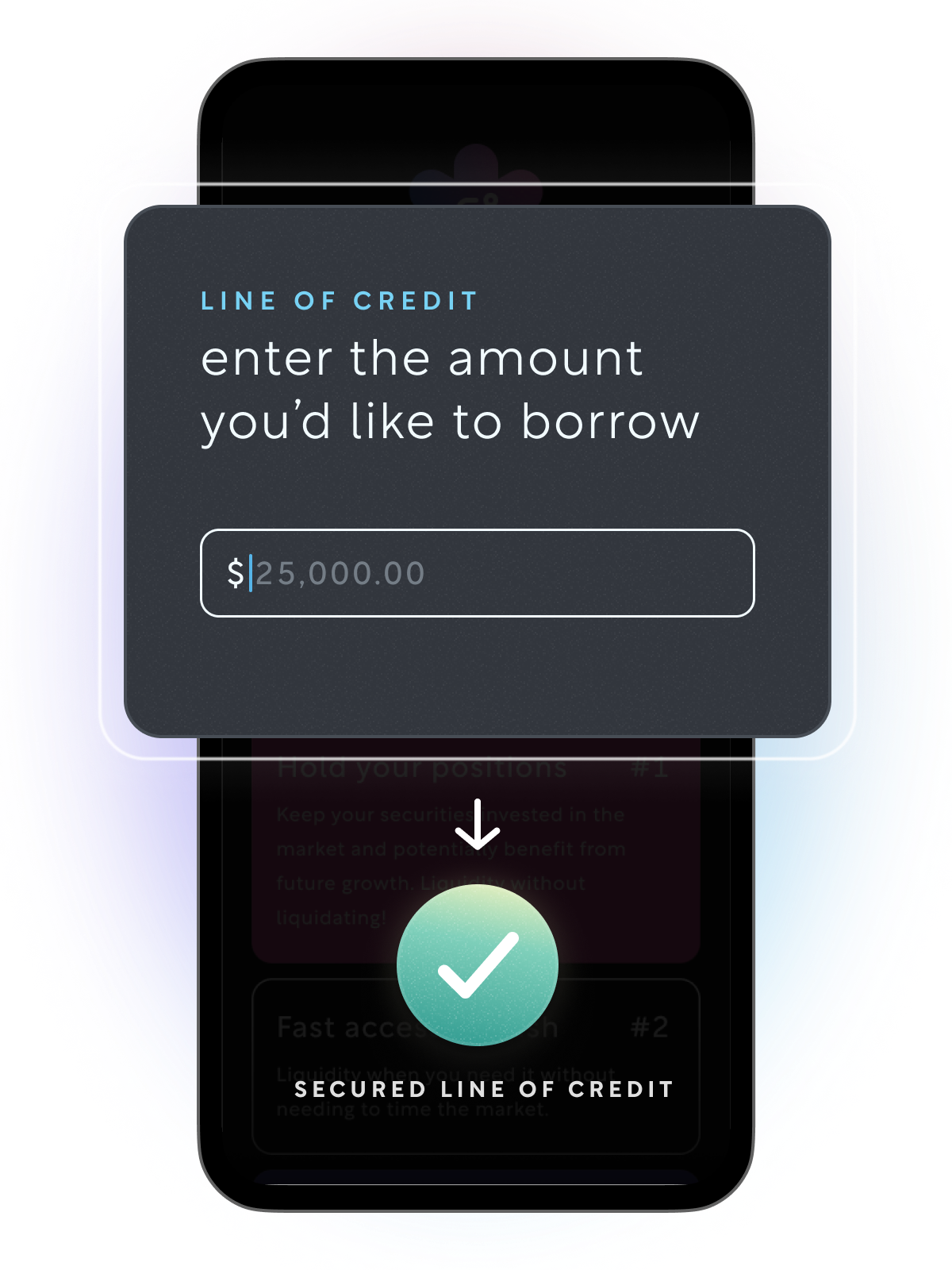 Preview of line of credit's input field on a mobile device