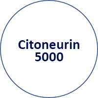 Citoneurin 5000