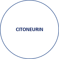Citoneurin Drágeas