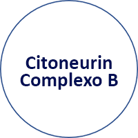 Citoneurin Complexo B