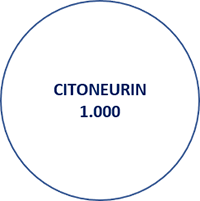 Citoneurin 1.000 Injetável