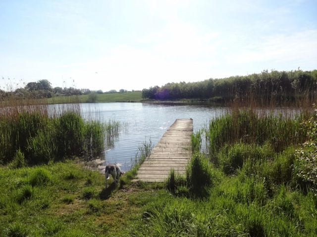 Harris Boathouse