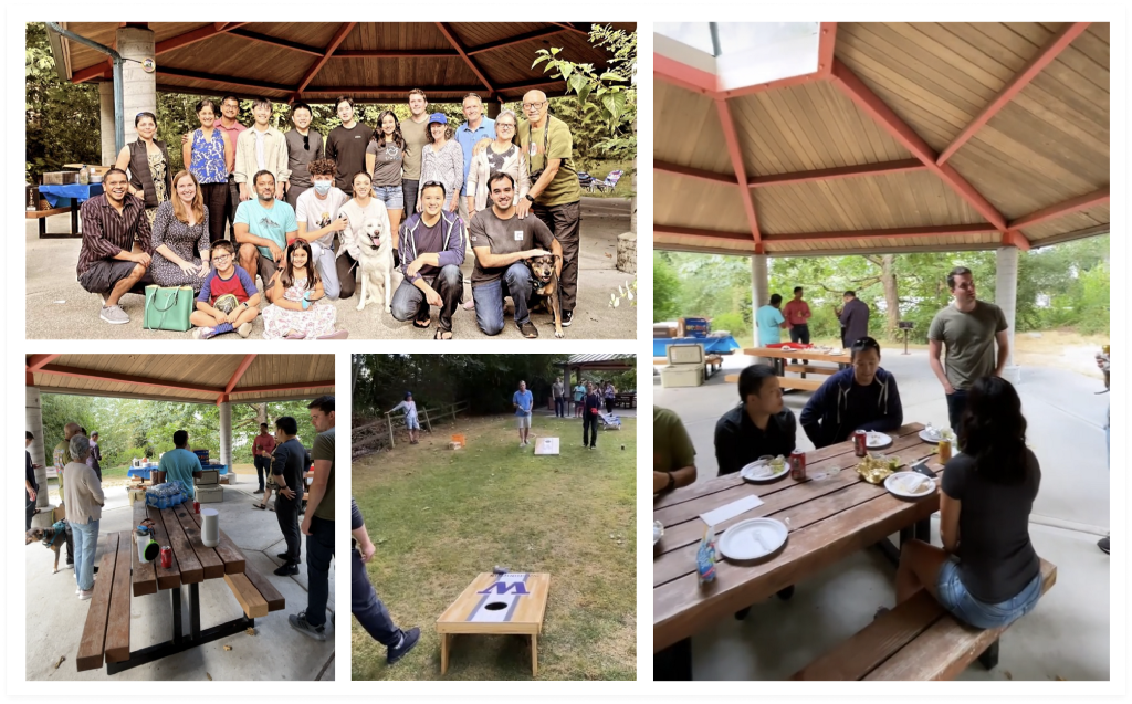 summer picnic in bellevue wa collage