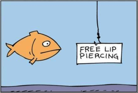 a fish looking at a sign that says free lip piercing
