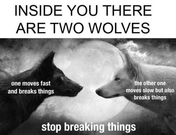 a meme about two wolves that break things