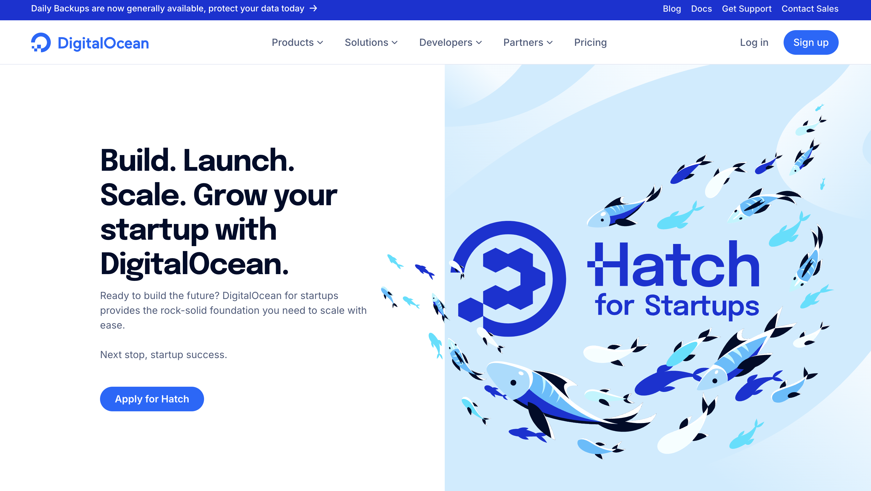 DigitalOcean Hatch for Startups