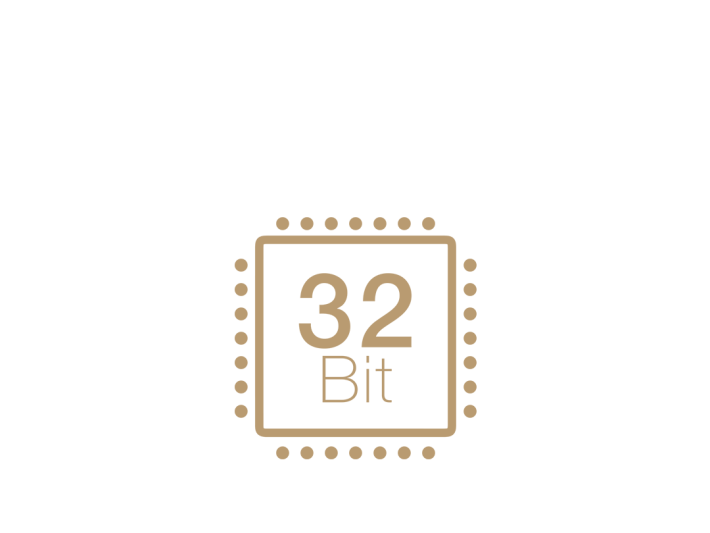 32-Bites chip
