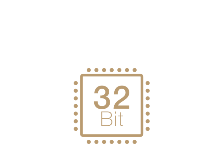 32-Bites chip 32-Bites chip