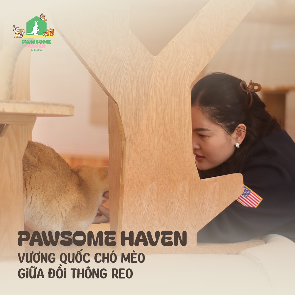 421308164 679958760971853 2691340031784427931 n