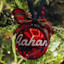 Thumb nail image for Personalised Christmas Baubles