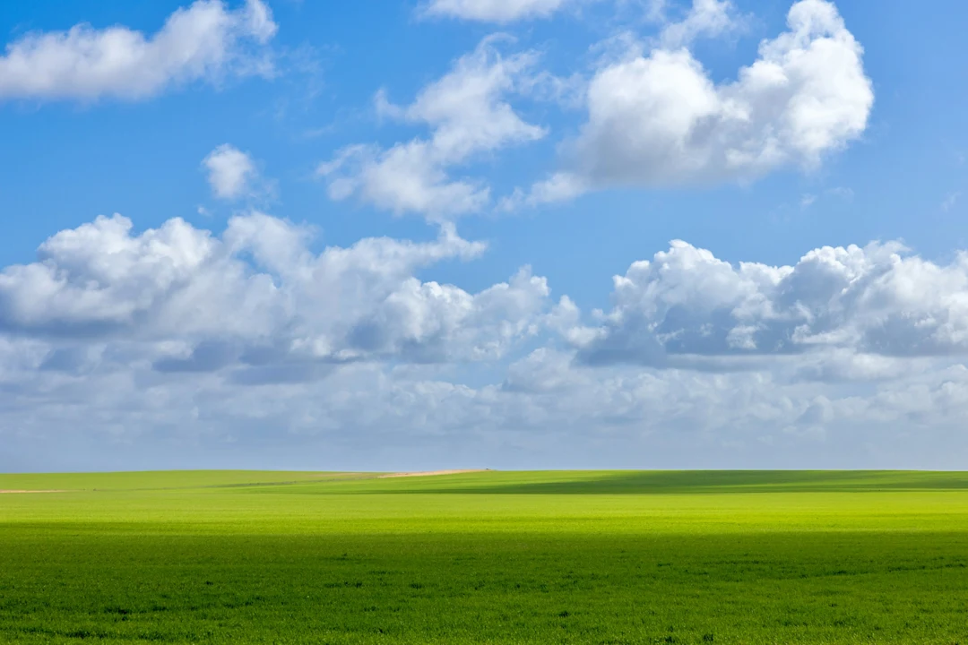 Vast green field under a cloudy blue sky