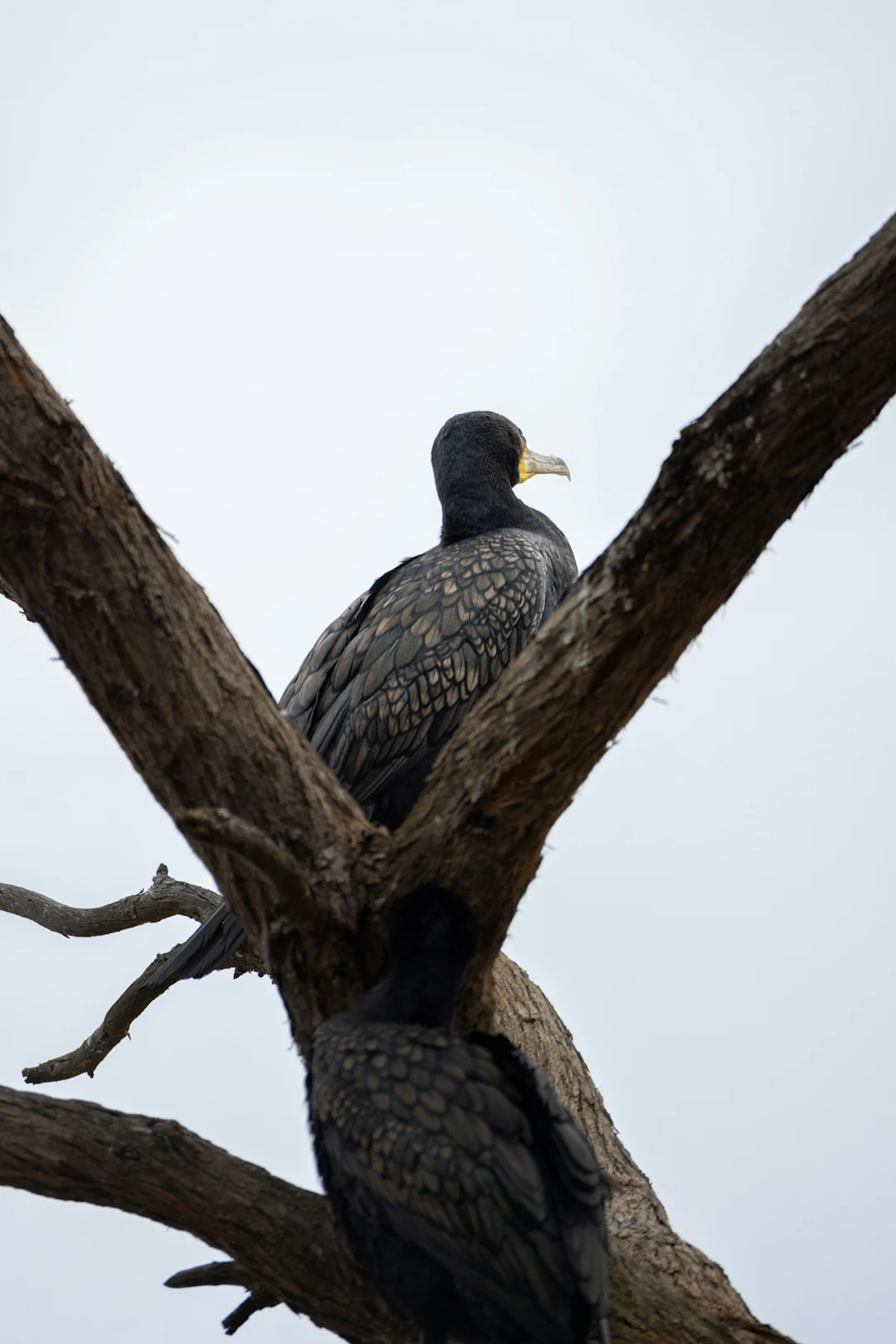 Into The Wild - Photo 2