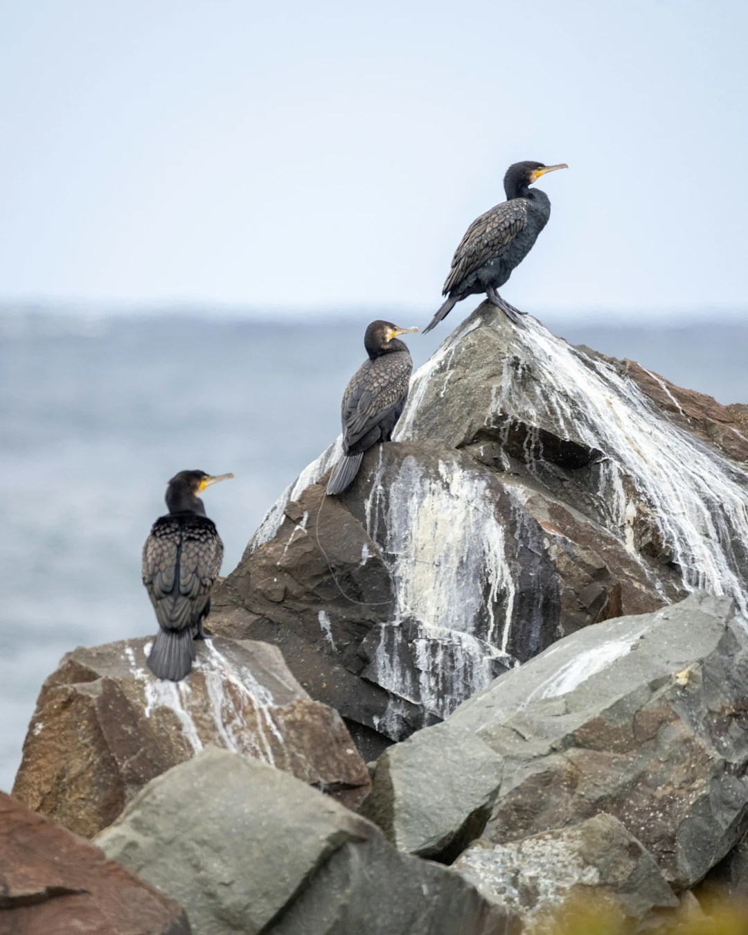 Into The Wild - Photo 3