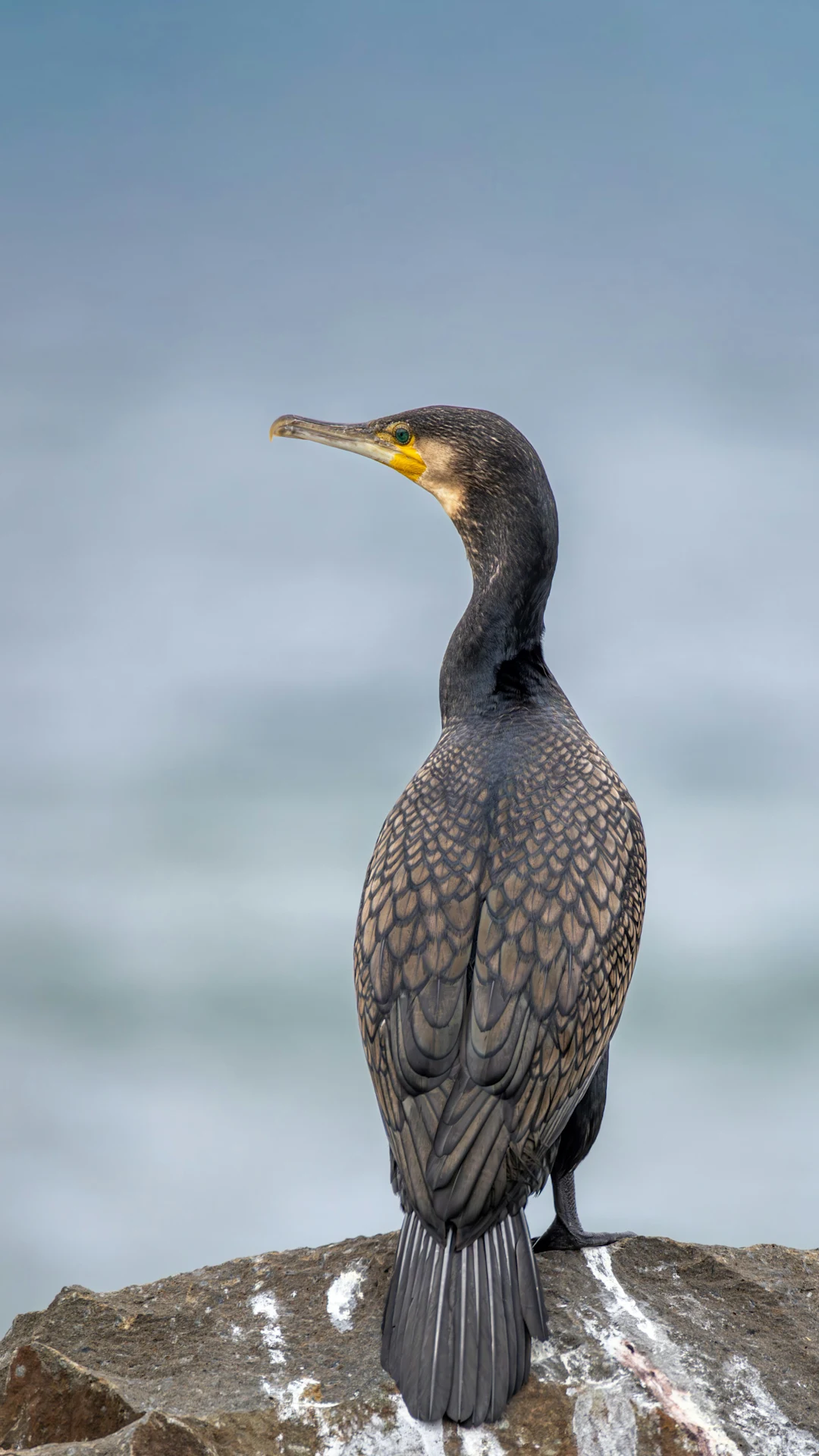 Into The Wild - Photo 5