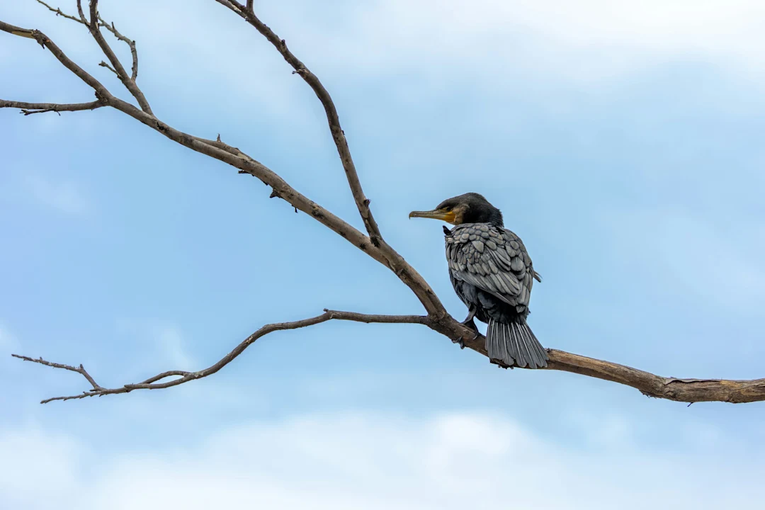 Into The Wild - Photo 7