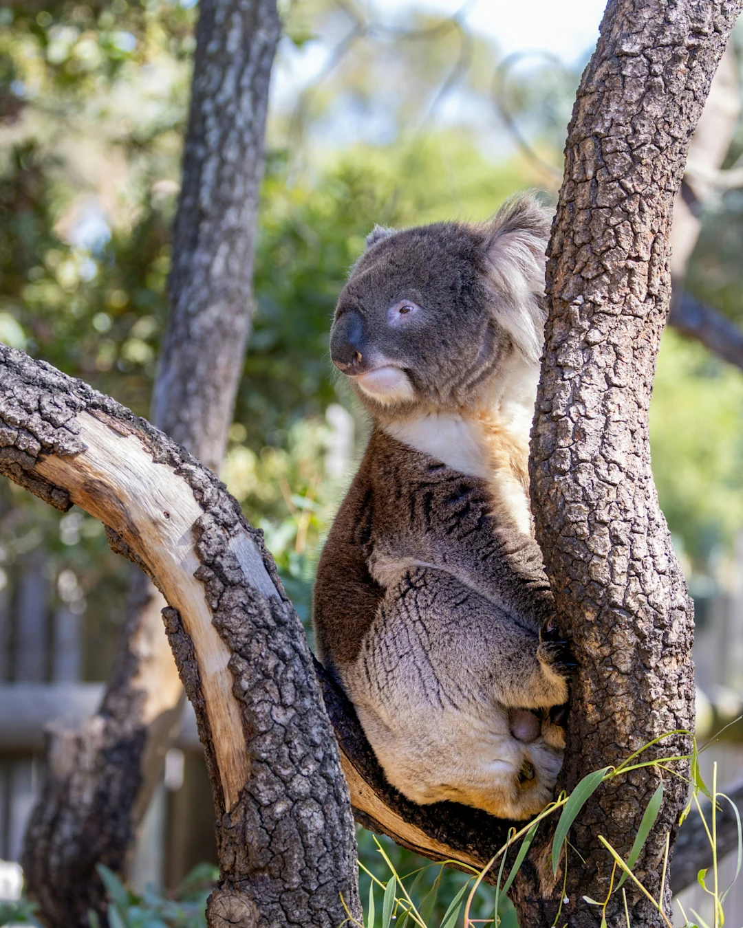 Into The Wild - Photo 1