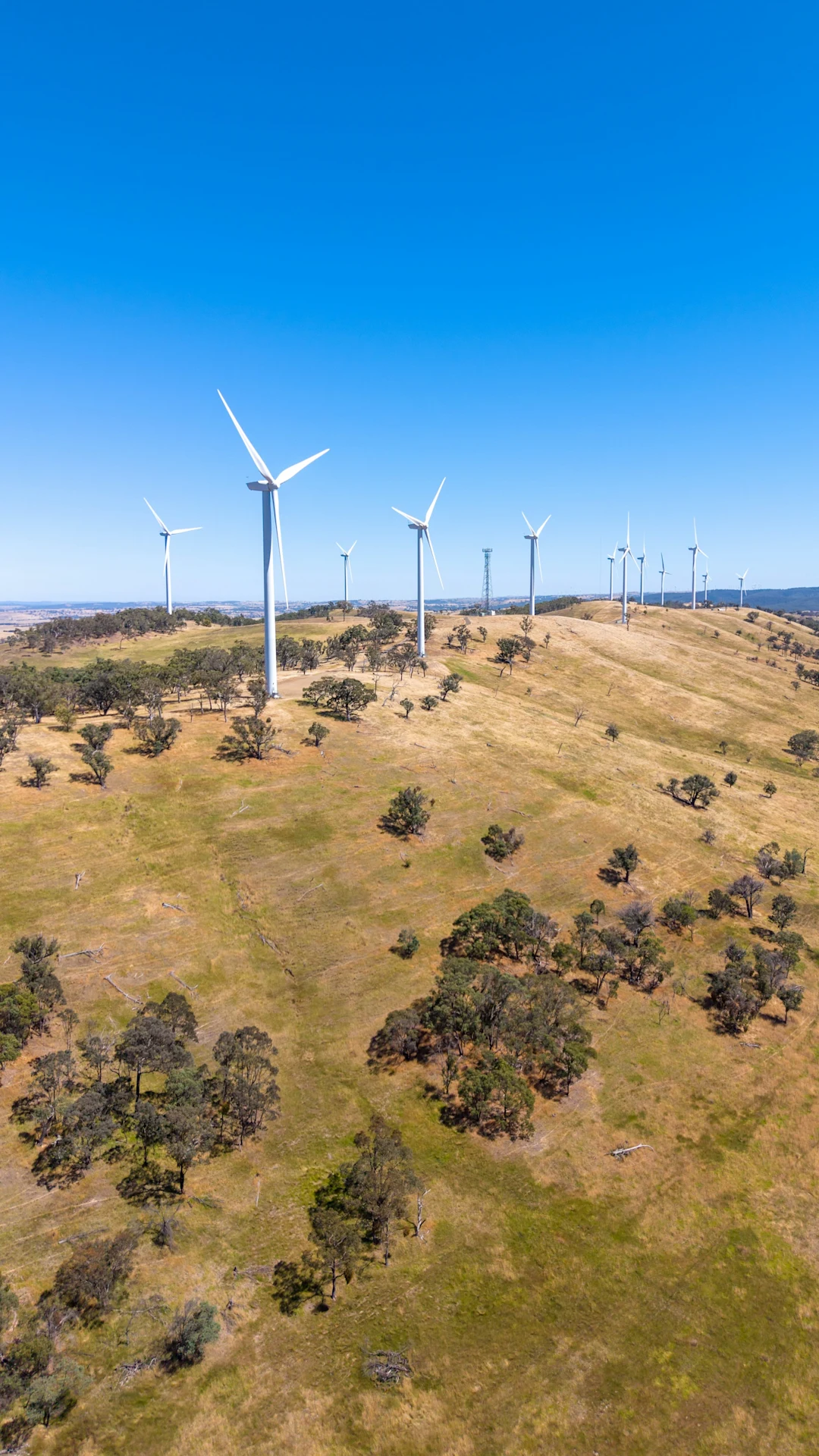 Nature and the Landscapes - Photo 9