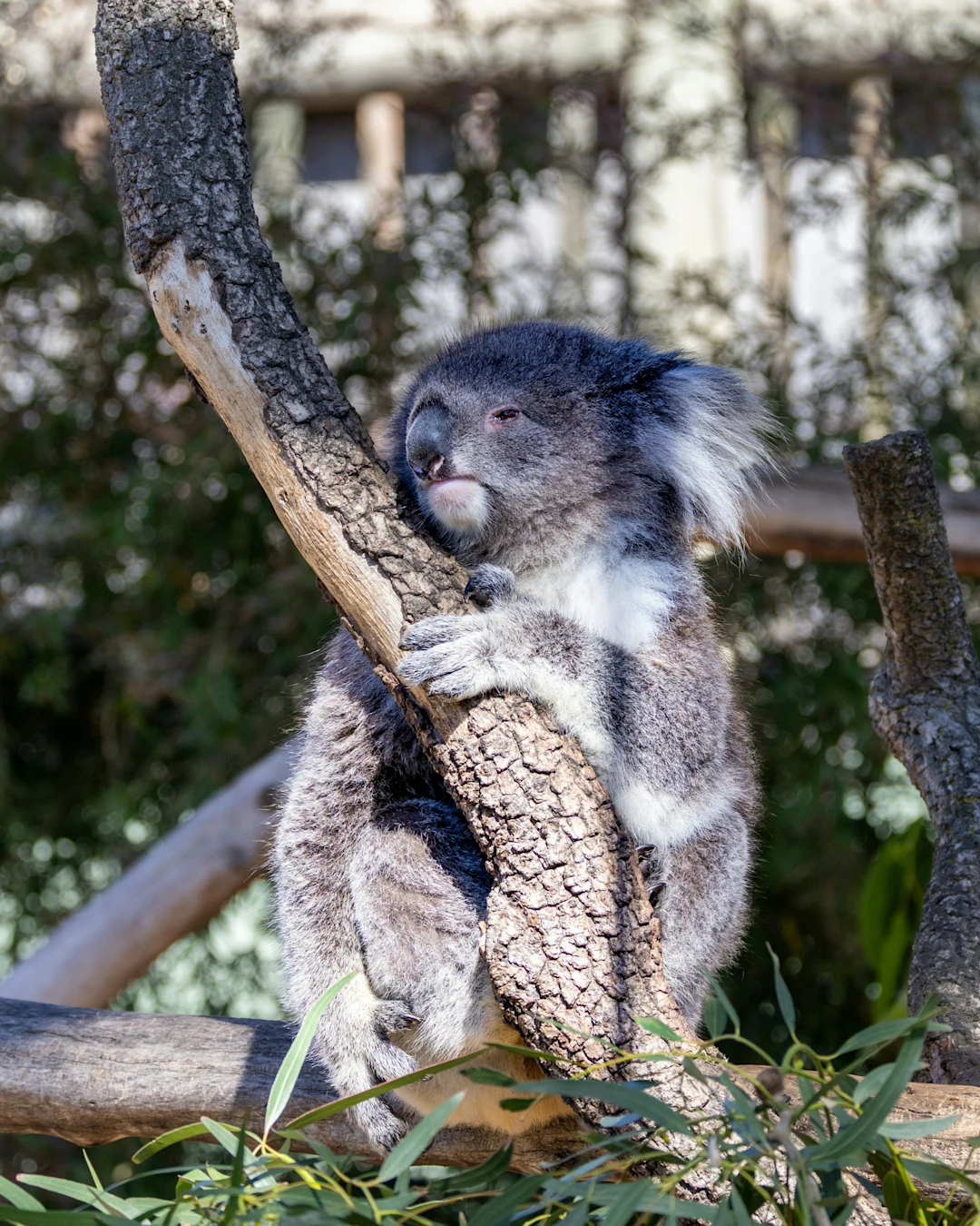 Into The Wild - Photo 4