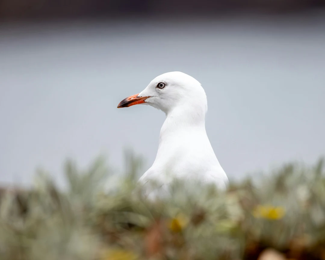 Melting Hearts - Photo 1