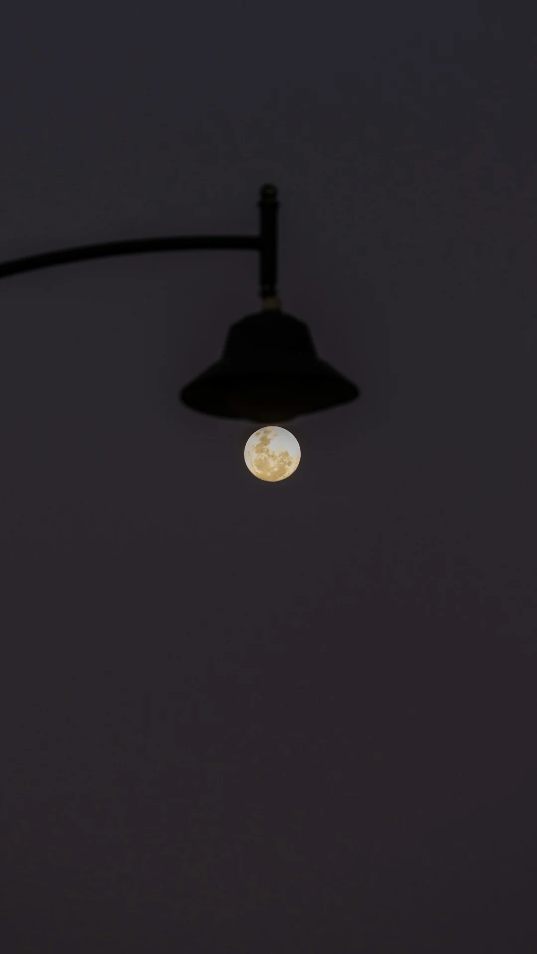 Full moon visible through a street lamp at night.