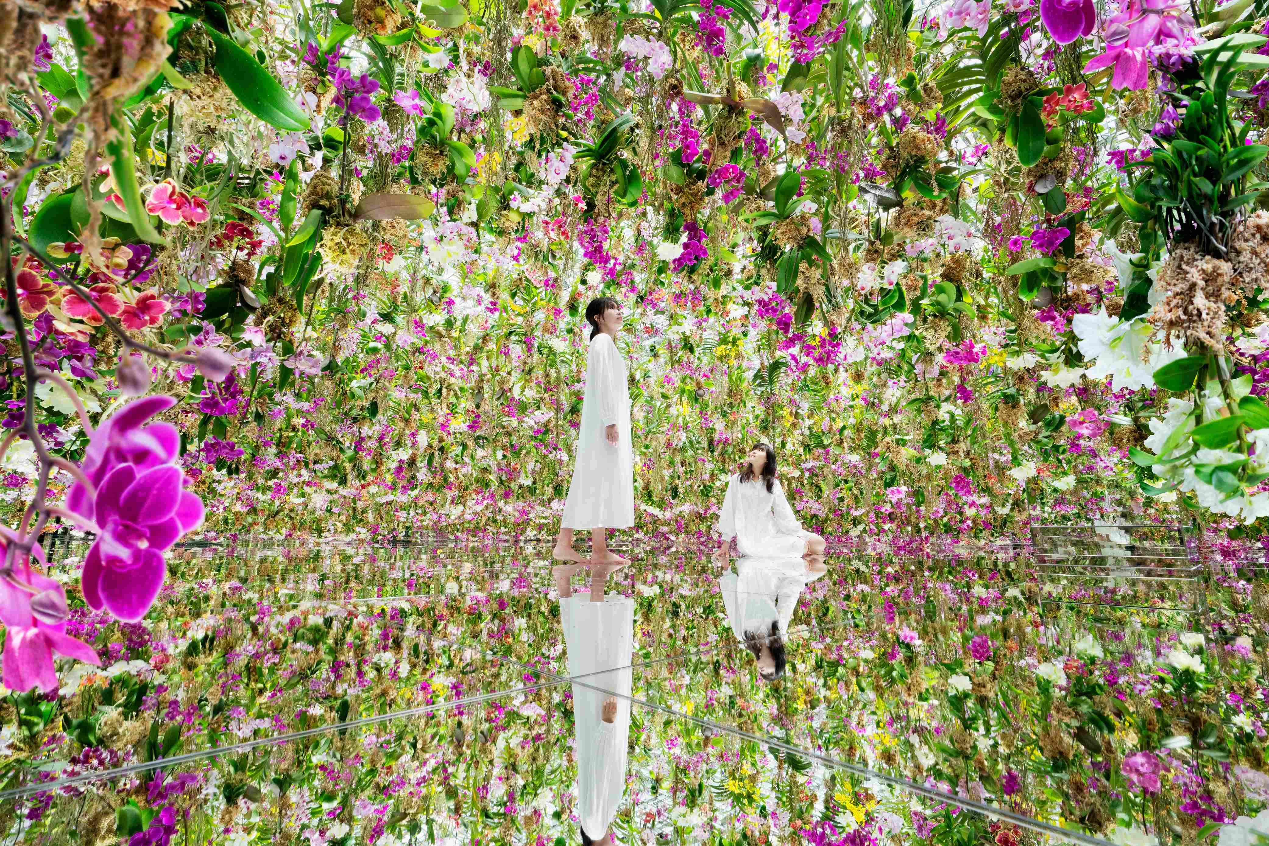tokyo teamlab